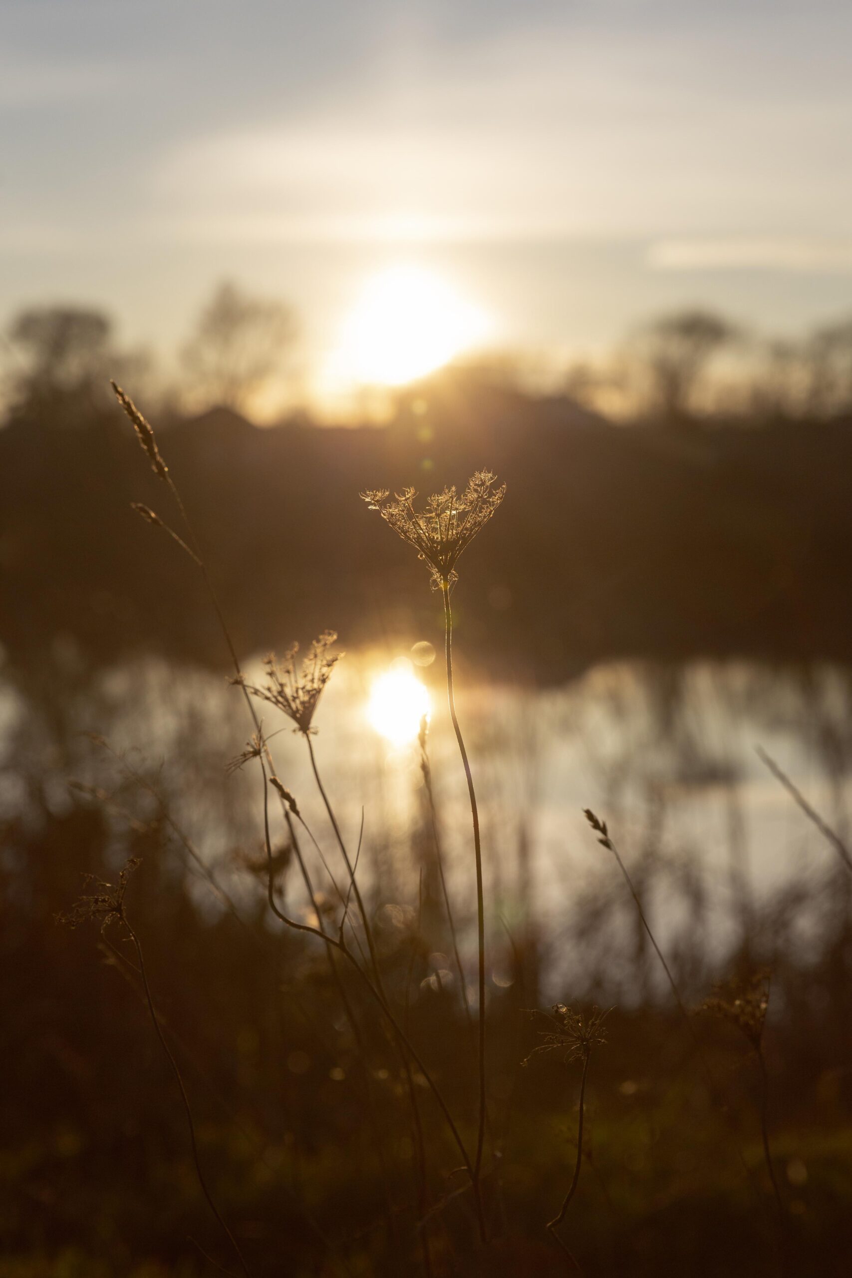 peaceful-view-morning-light
